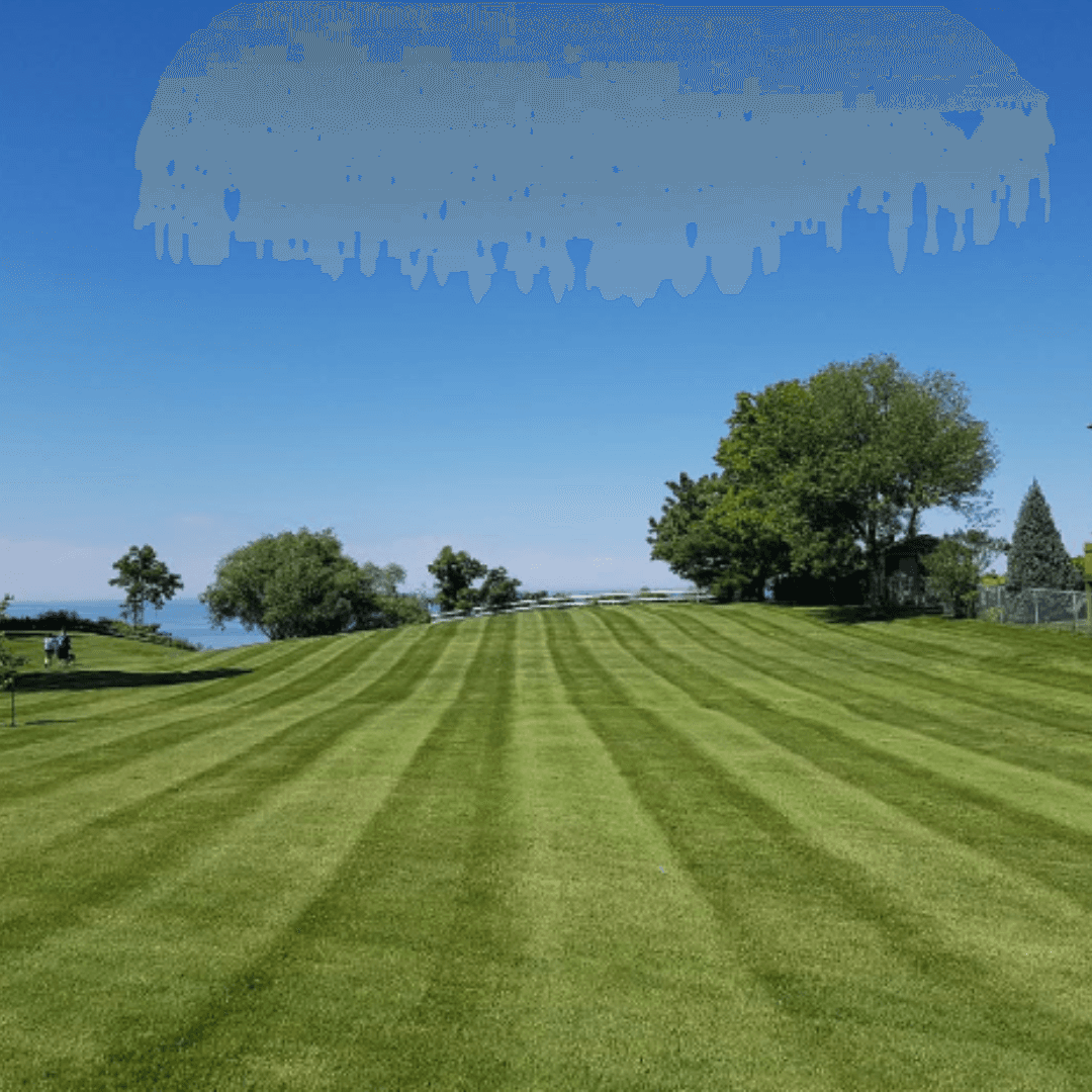A vast, striped green lawn slopes toward a distant lake under a clear blue sky.