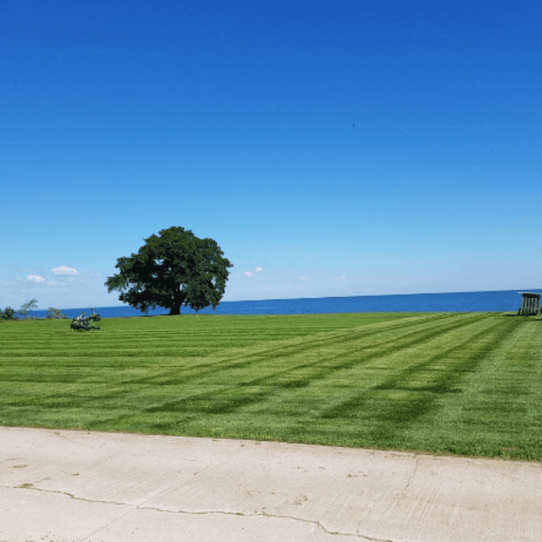 Freshly mowed striped lawn with a lone tree overlooking a vast blue lake.