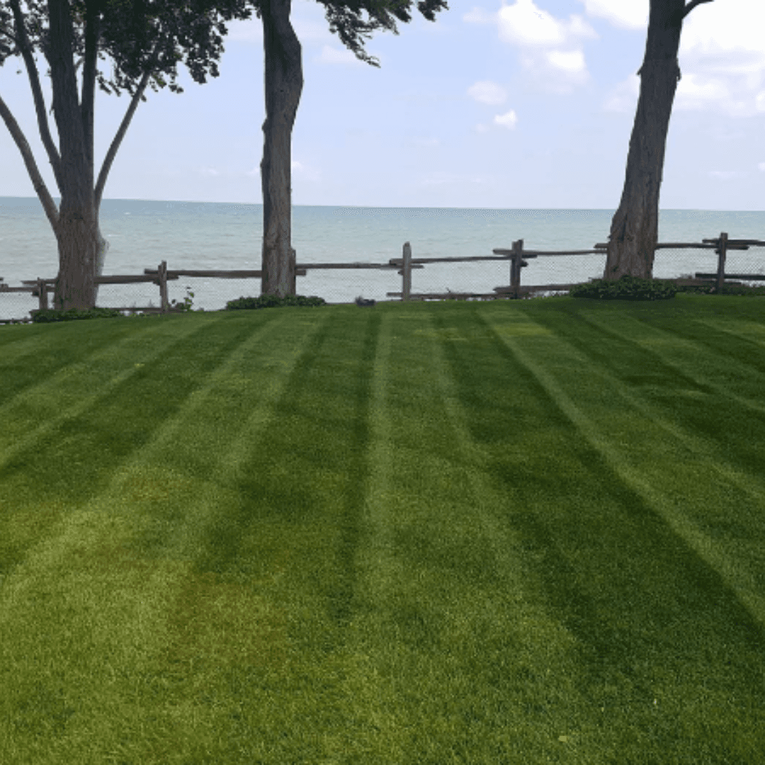 Manicured green lawn with stripes overlooking a serene lake behind a rustic wooden fence.
