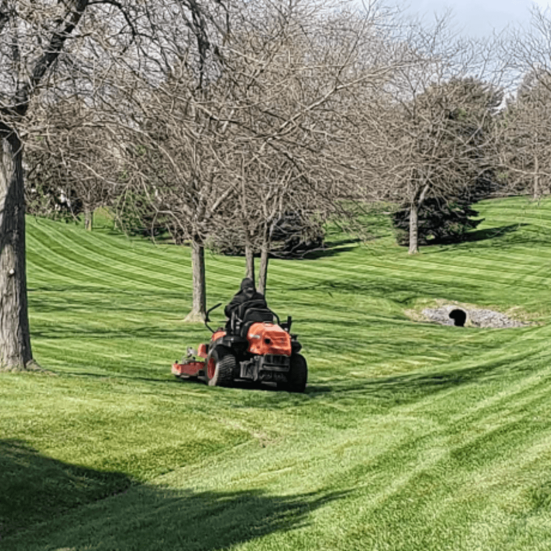 Orange riding mower cutting stripes into a hilly green lawn surrounded by leafless trees.